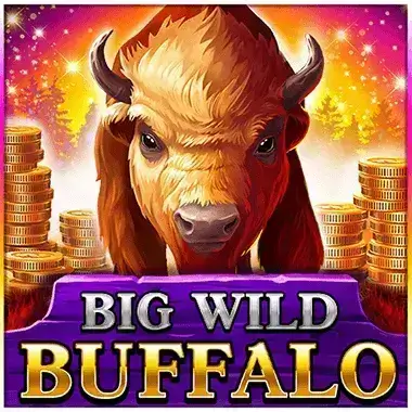 Play Big Wild Buffalo Cazeus casino